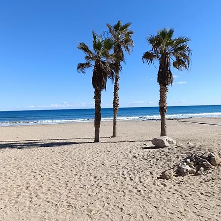 Casa Del Capitan *